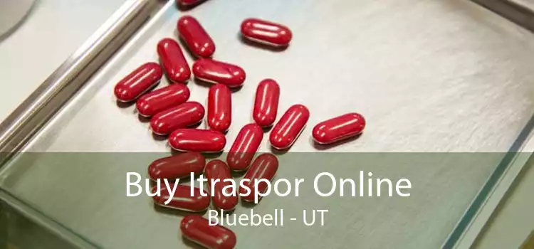 Buy Itraspor Online Bluebell - UT